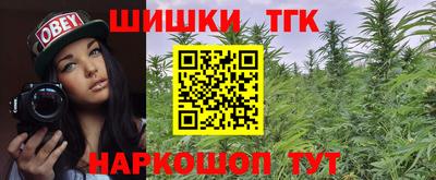 дмт Ставрополь