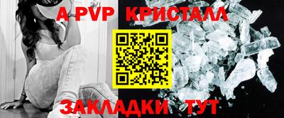дмт Ставрополь