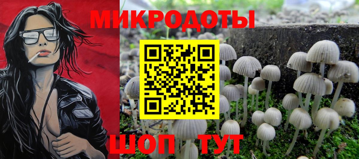 Галлюциногенные грибы GOLDEN TEACHER  Псилоцибиновые грибы Psilocybine cubensis  Прокопьевск  купить   Вход с VPN 